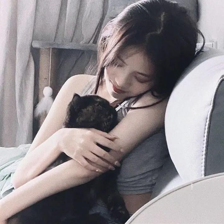 巡回检察组